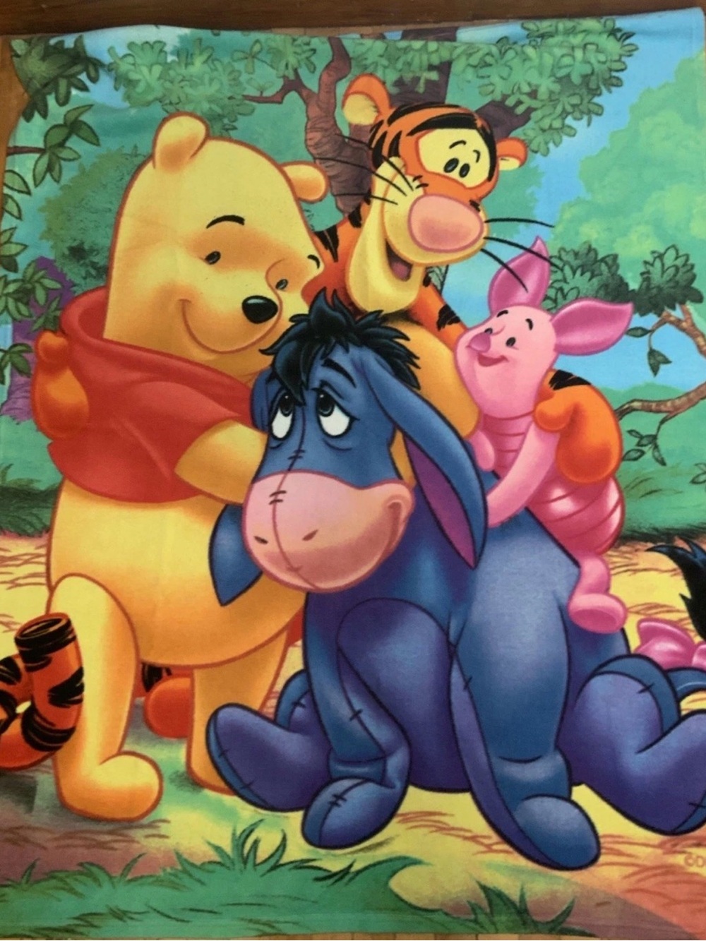 Vintage Disney Store Winnie The Pooh Fleece Blanket 50x60 Tigger Eeyore Piglet